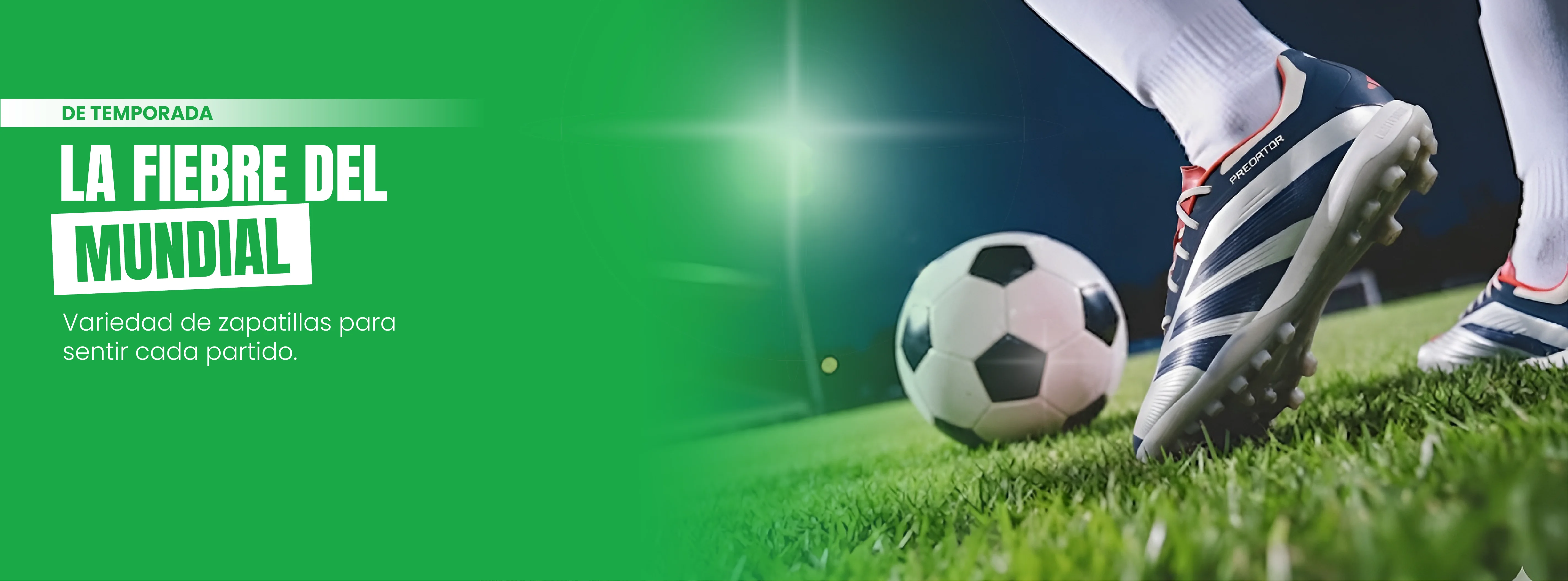 Banner Mundial